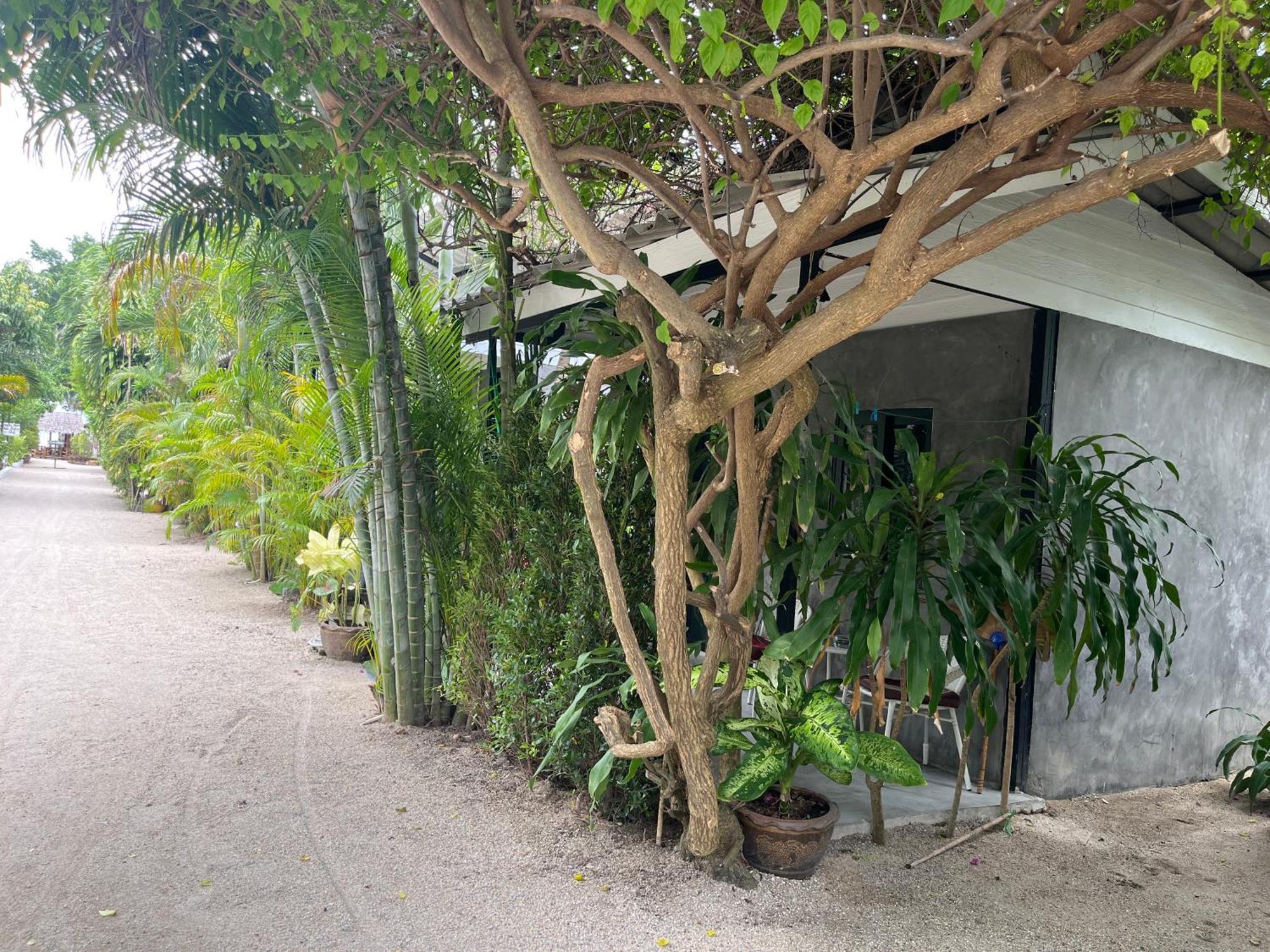 Namthip Homebeach Baan Tai Exteriör bild